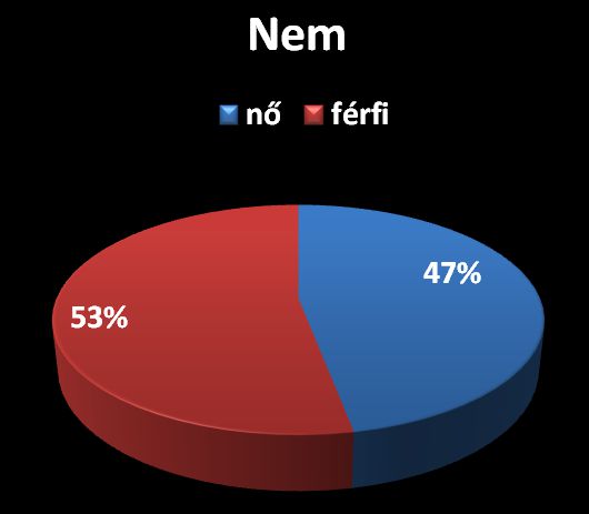 A kérdőívet kitöltők nem szerinti eloszlása - Marketing a székelyeknél