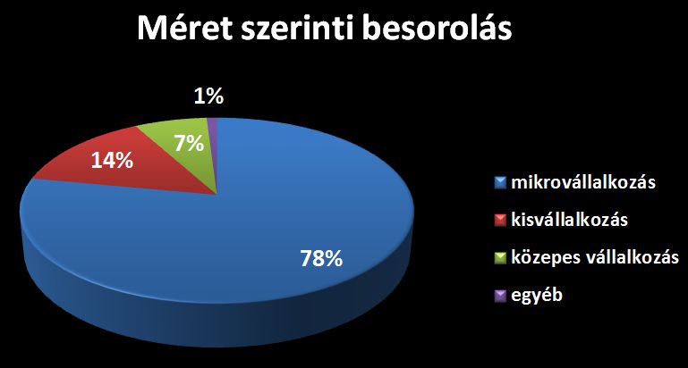 A vállalkozás méret szerinti besorolása - Marketing a székelyeknél