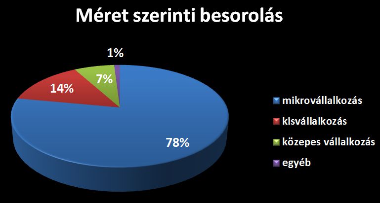 A vállalkozás méret szerinti besorolása - Marketing a székelyeknél