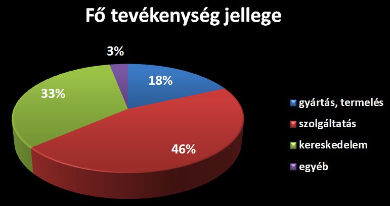 A vállalkozás fő tevékenységének jellege - Marketing a székelyeknél